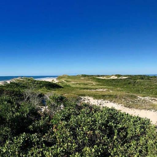 Things to Do Fire Island