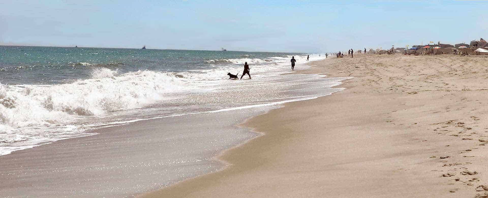 beaches-fire-island