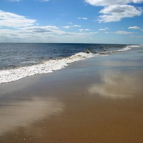 Things to Do - Fire Island